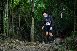 BIB: 
                            <button type="button" onclick="openModal(19440799)" class="btn btn-primary btn-sm float-right btn-popup" data-toggle="modal" data-target=".modal-high-quality">
                        <i class="fas fa-shopping-cart"></i> Add to Cart
                    </button>
                                            <button type="button" onclick="isThisMe(19440799, true)" class="btn btn-success btn-sm float-right btn-popup btn-isme hidden" data-toggle="tooltip" data-placement="bottom" title="นี่คือรูปของคุณใช่ไหม คลิกที่นี่เพื่อเอาเข้าอัลบั้ม">
                        <i class="fas fa-plus"></i> Add to album
                    </button>
                    <button type="button" onclick="isThisMe(19440799, false)" class="btn btn-warning btn-sm float-right btn-popup btn-isnotme hidden">
                        <i class="fas fa-ban"></i> Remove from album
                    </button>